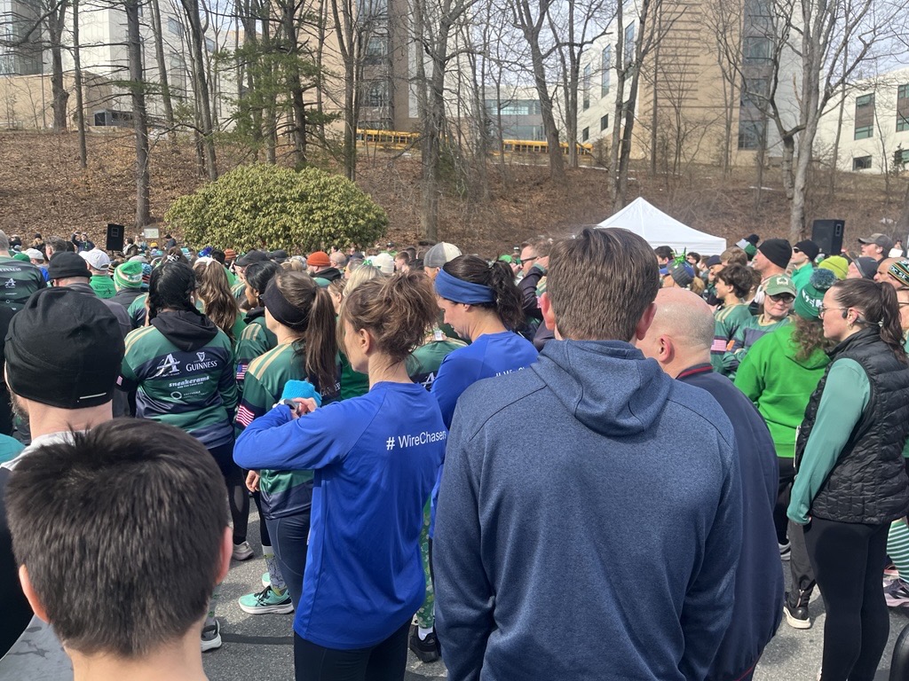 Crowd at outdoor running event
